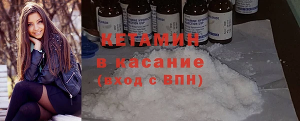 молекула духа Богданович