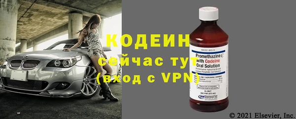 молекула духа Богданович