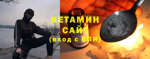 молекула духа Богданович