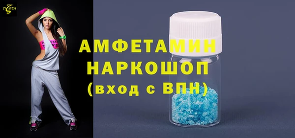 молекула духа Богданович