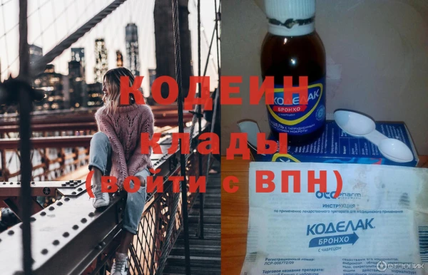 молекула духа Богданович