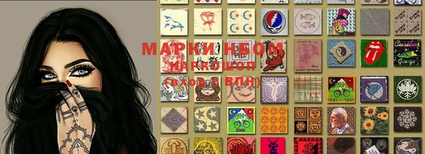 молекула духа Богданович