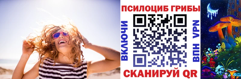 Купить где  Маркс  Галлюциногенные грибы Magic Shrooms 